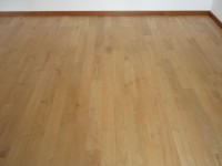 /album/ripristino-pavimento-in-legno-essenza-castgno-con-riparazione-finitura-con-bona-naturale-bicomponente/p1050663-jpg/