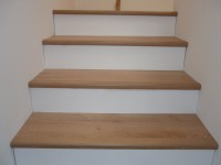 /album/posa-pavimento-in-laminato-tarkett-sublime-style-e-rivestimento-scala/p1040019-jpg/