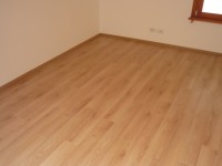 /album/posa-pavimento-in-laminato-tarkett-sublime-style-e-rivestimento-scala/p1040013-jpg/
