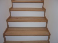 /album/posa-pavimento-in-laminato-tarkett-sublime-style-e-rivestimento-scala/p1040022-jpg/