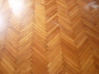 /album/ripristino-pavimento-in-legno-in-essenza-di-faggio-spessore-22-m-m-posato-su-cartacatramata-senza-utilizzo-di-collanti-e-fissaggio-con-chiodi/p1050769-jpg/