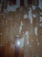/album/ripristino-pavimento-in-legno-massello-essenza-cabreuva-incenso-finitura-con-prodotti-bona/p1060264-jpg/